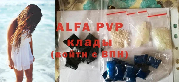 PSILOCYBIN Майский