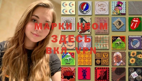 прущие грибы Магас