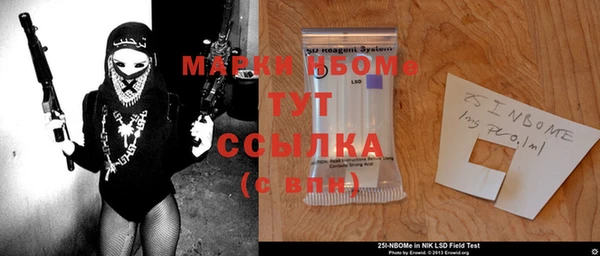 прущие грибы Магас