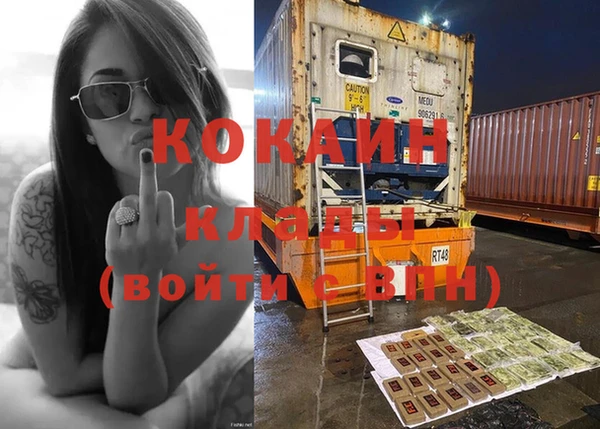 прущие грибы Магас