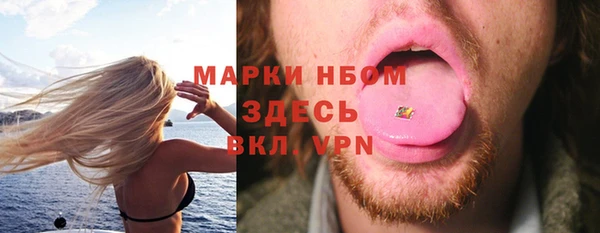 PSILOCYBIN Майский