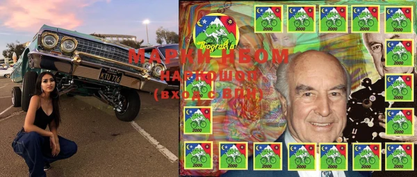 PSILOCYBIN Майский