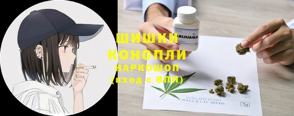 PSILOCYBIN Майский