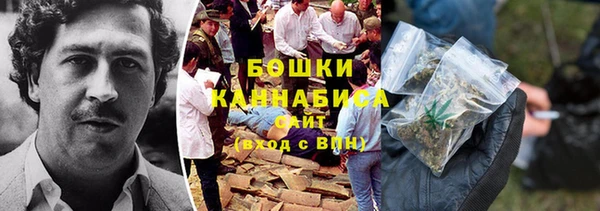 прущие грибы Магас