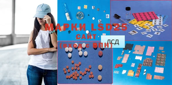 прущие грибы Магас