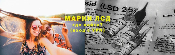 PSILOCYBIN Майский