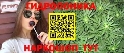 скорость Кандалакша